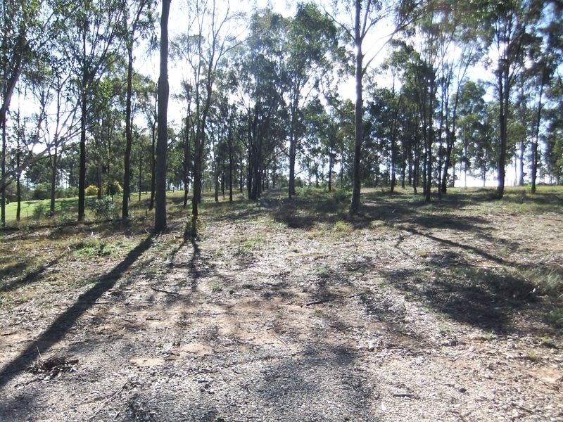522 Maison Dieu Road, Singleton NSW 2330