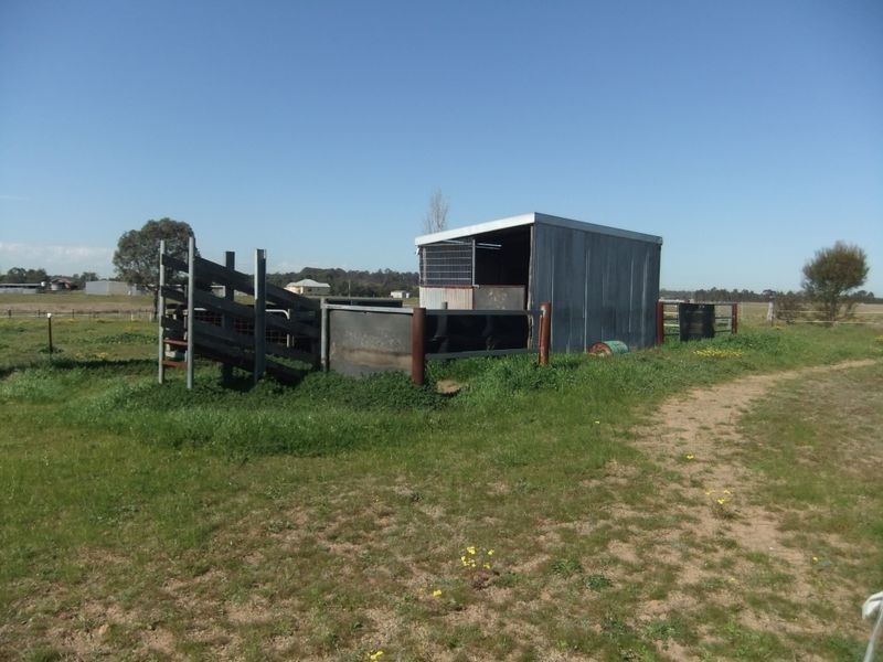 62 Standen Drive, Lower Belford NSW 2335