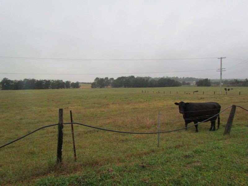 Lot 12-12 Standen Drive, Lower Belford NSW 2335