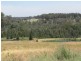 125 Summer Hill Road, Branxton NSW 2335
