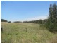 125 Summer Hill Road, Branxton NSW 2335
