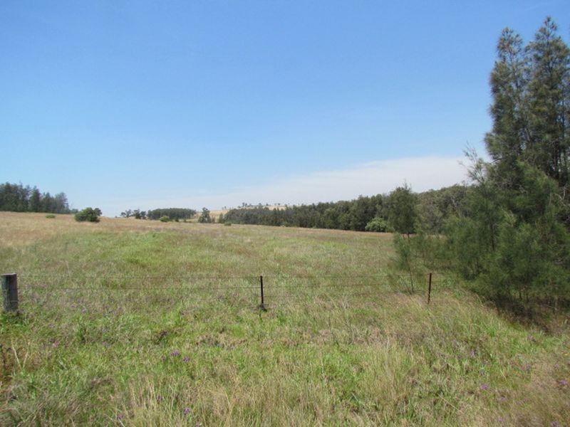 125 Summer Hill Road, Branxton NSW 2335