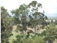 4 Roe Close, Singleton NSW 2330