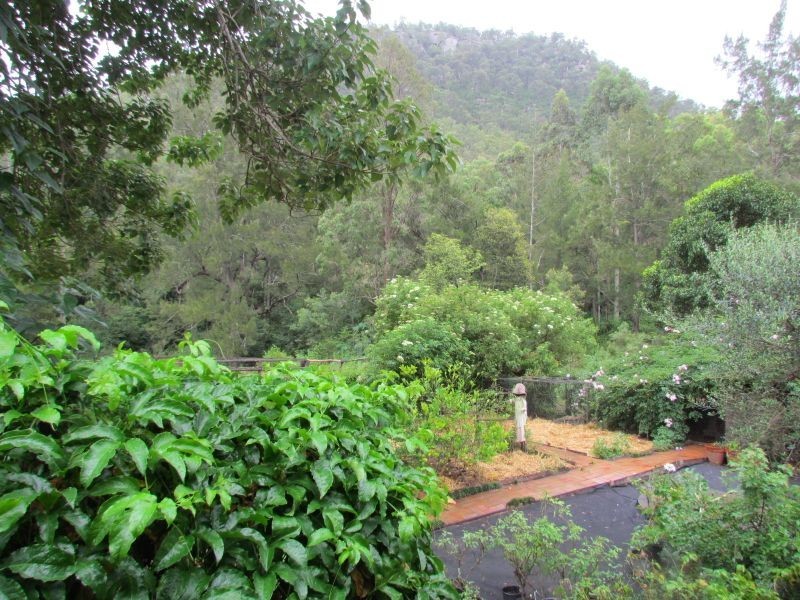 3134 Putty Road, Milbrodale NSW 2330