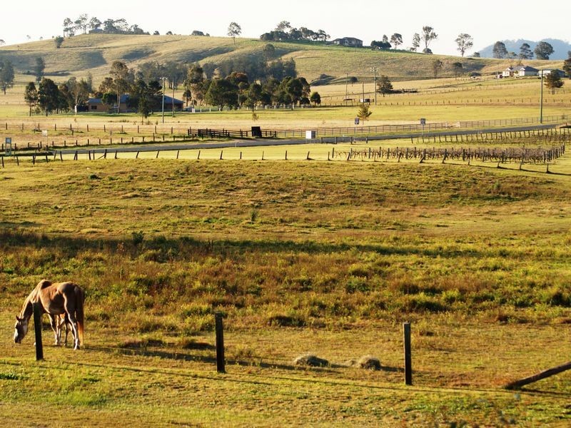 26 George Street, Branxton NSW 2335