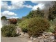 118 Milbrodale Road, Broke NSW 2330