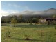 118 Milbrodale Road, Broke NSW 2330