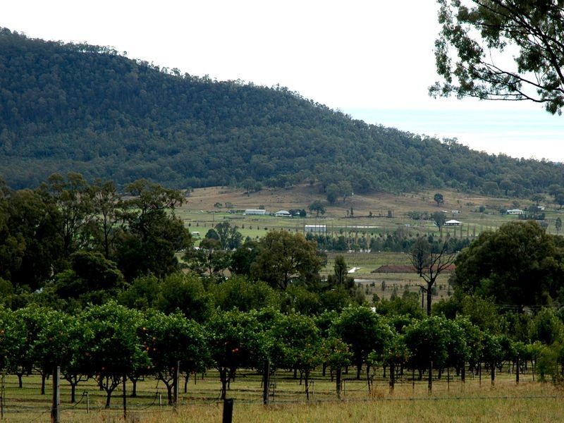118 Milbrodale Road, Broke NSW 2330