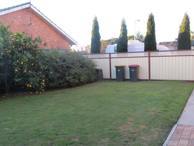 31 Lawson Avenue, Singleton NSW 2330