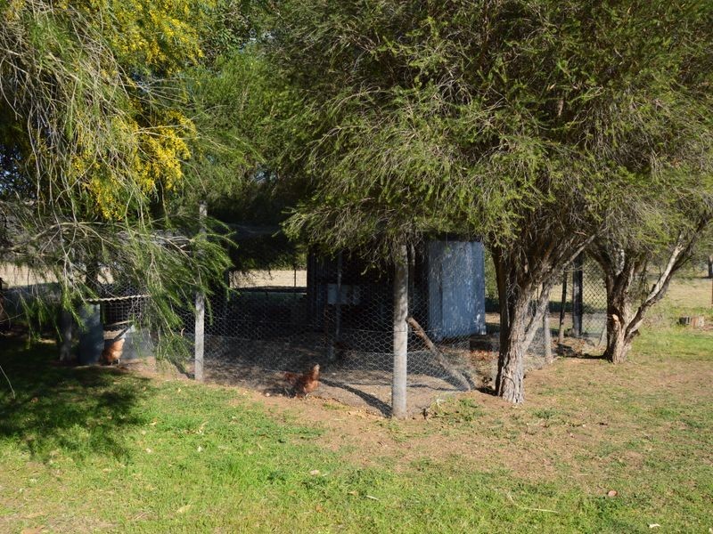 303A Inlet Road, Bulga NSW 2330