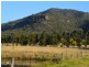 303A Inlet Road, Bulga NSW 2330