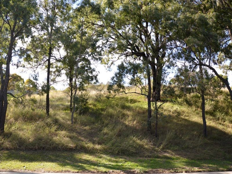 1 White Avenue, Singleton NSW 2330