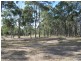565/ Belmadar Way, Singleton NSW 2330