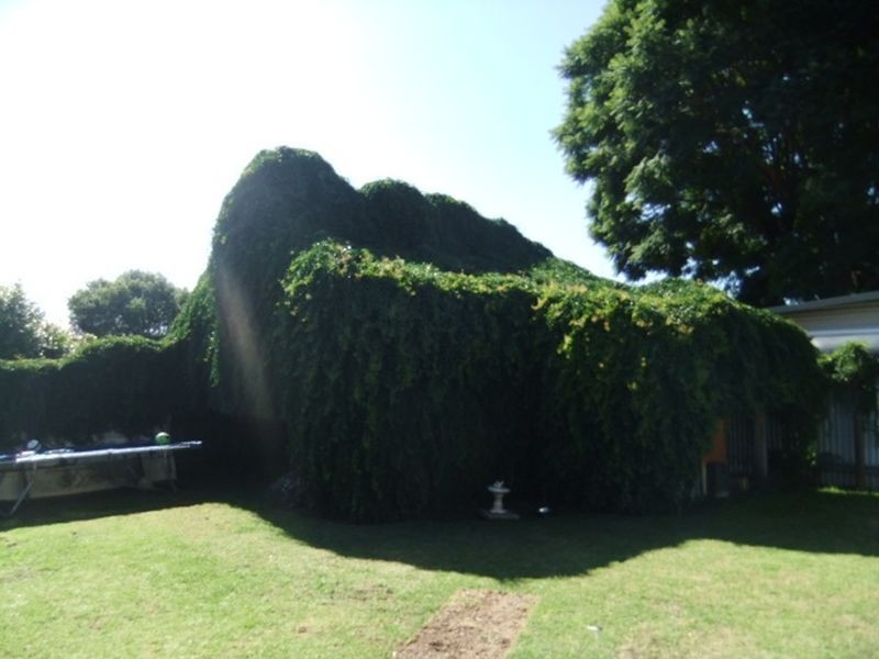 44 York Street, Singleton NSW 2330