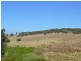 Singleton NSW 2330