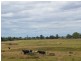 Singleton NSW 2330