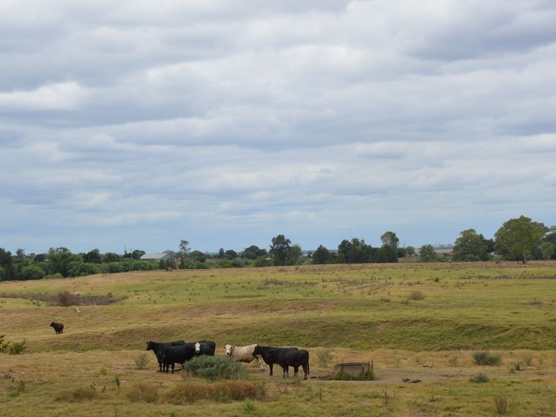 Singleton NSW 2330
