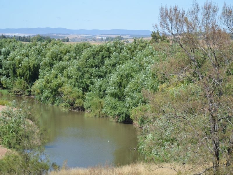 Singleton NSW 2330