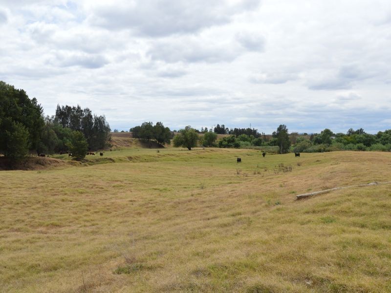 Singleton NSW 2330