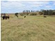 Singleton NSW 2330