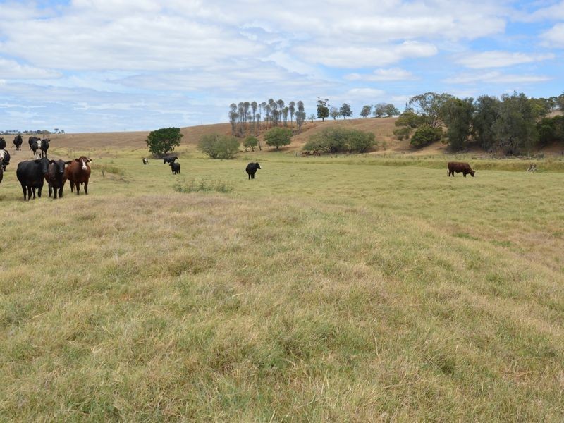 Singleton NSW 2330