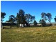 366 Roughit Lane, Singleton NSW 2330