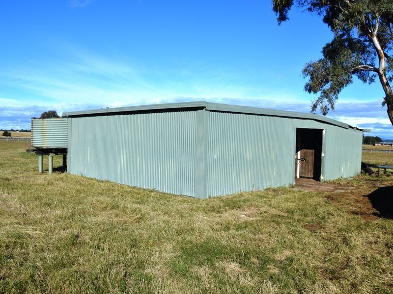 366 Roughit Lane, Singleton NSW 2330