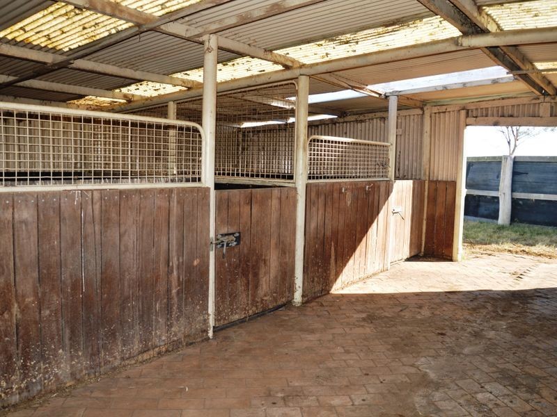 366 Roughit Lane, Singleton NSW 2330