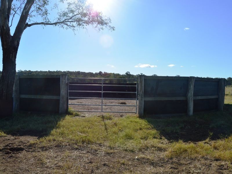 366 Roughit Lane, Singleton NSW 2330