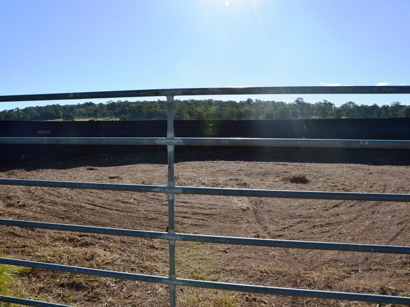 366 Roughit Lane, Singleton NSW 2330