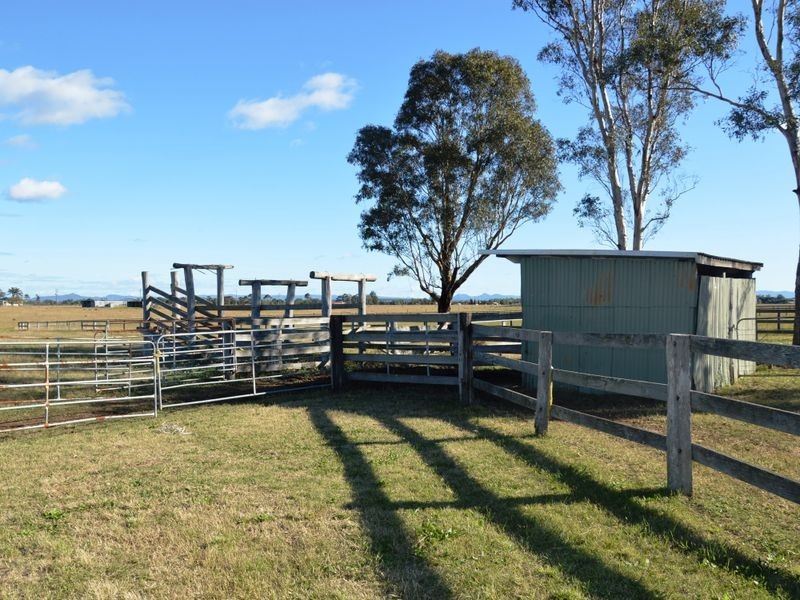 366 Roughit Lane, Singleton NSW 2330