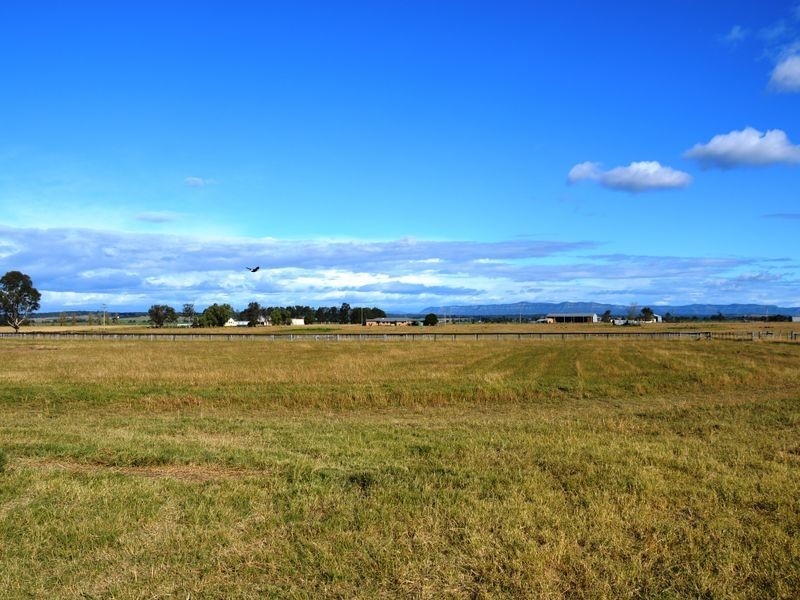 366 Roughit Lane, Singleton NSW 2330