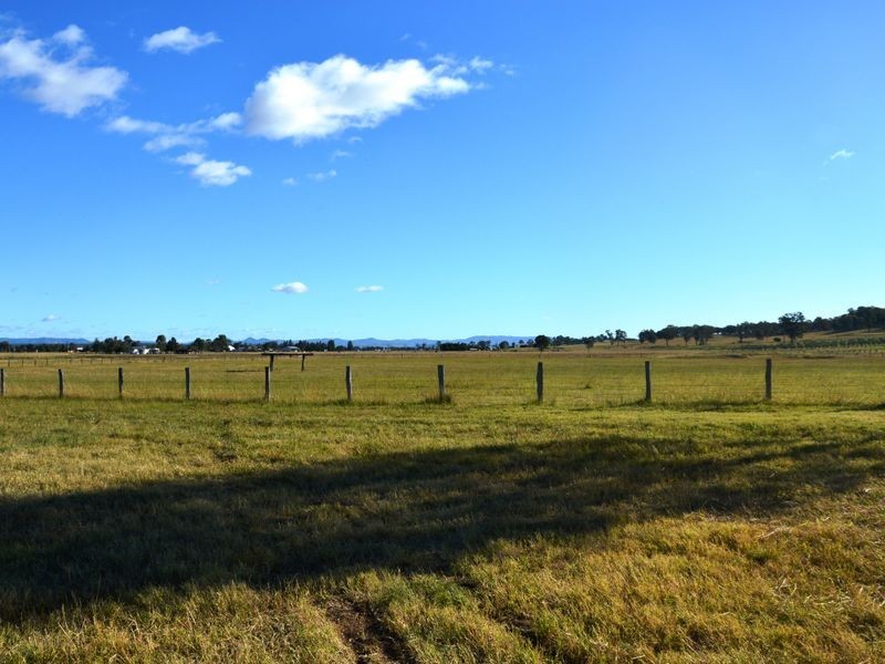 366 Roughit Lane, Singleton NSW 2330