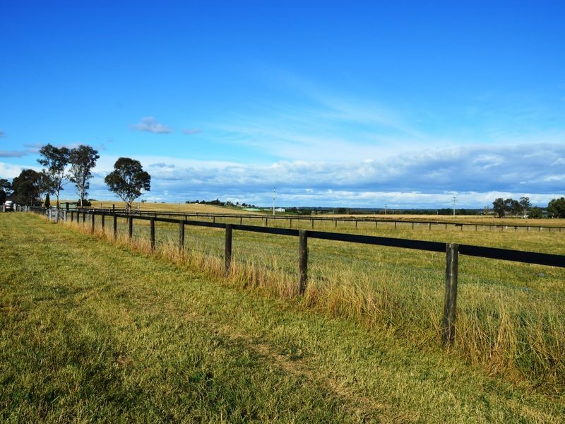 366 Roughit Lane, Singleton NSW 2330