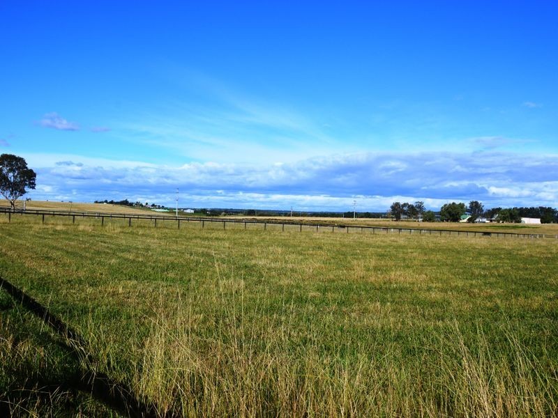 366 Roughit Lane, Singleton NSW 2330