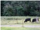 Lot 70 Carrowbrook Road, Singleton NSW 2330