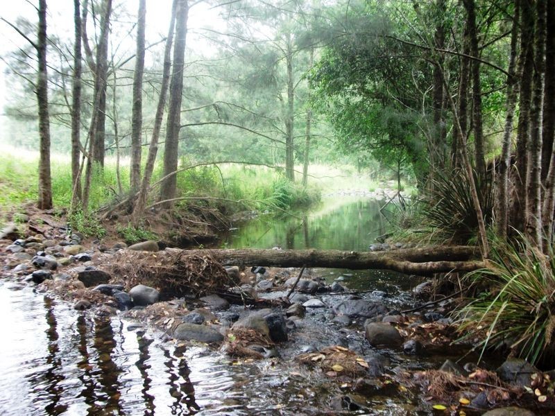 Lot 70 Carrowbrook Road, Singleton NSW 2330