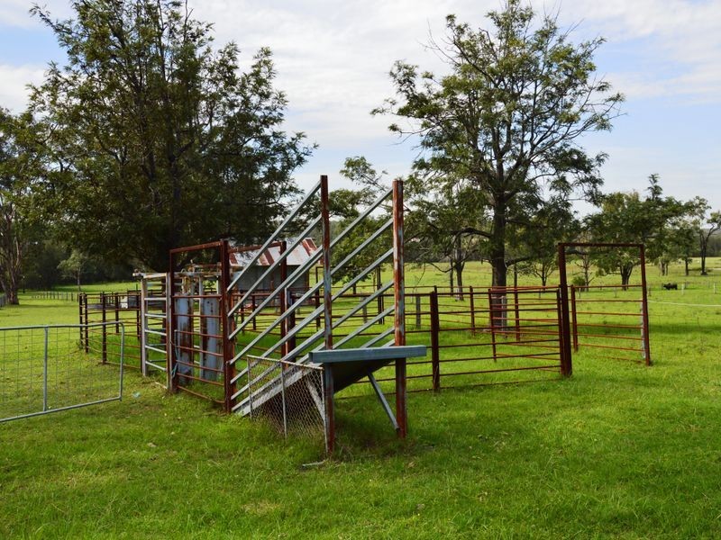 20 Kelman Street, Belford NSW 2335