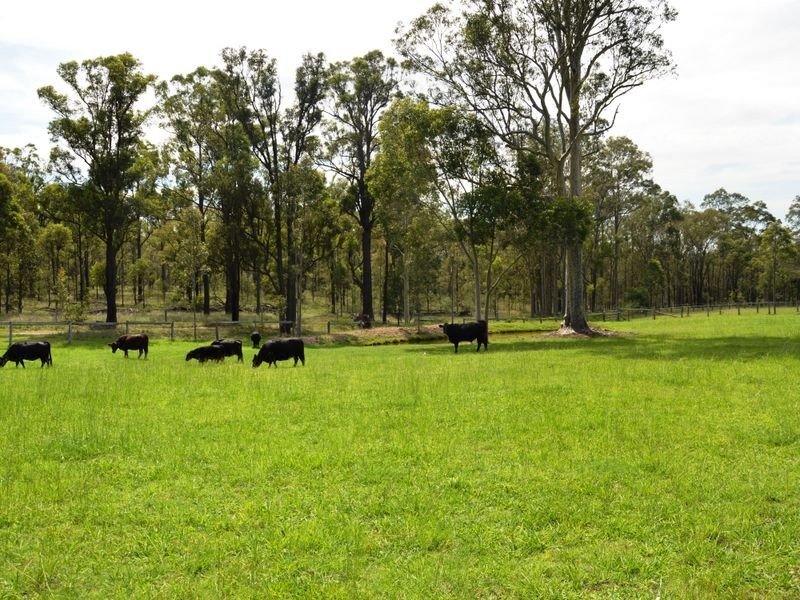 20 Kelman Street, Belford NSW 2335