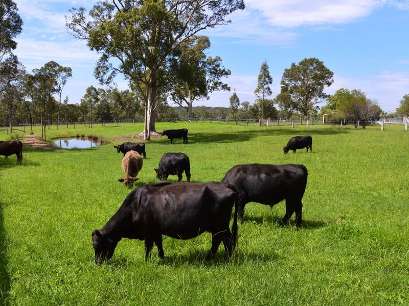 20 Kelman Street, Belford NSW 2335