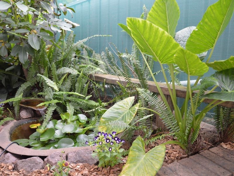 1 Forest Avenue, Singleton NSW 2330