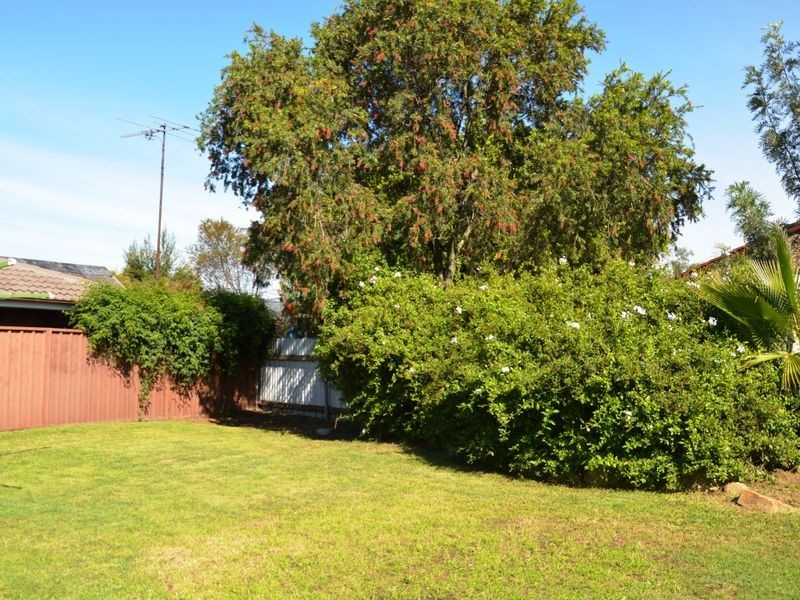 36 Benjamin Circuit, Singleton NSW 2330
