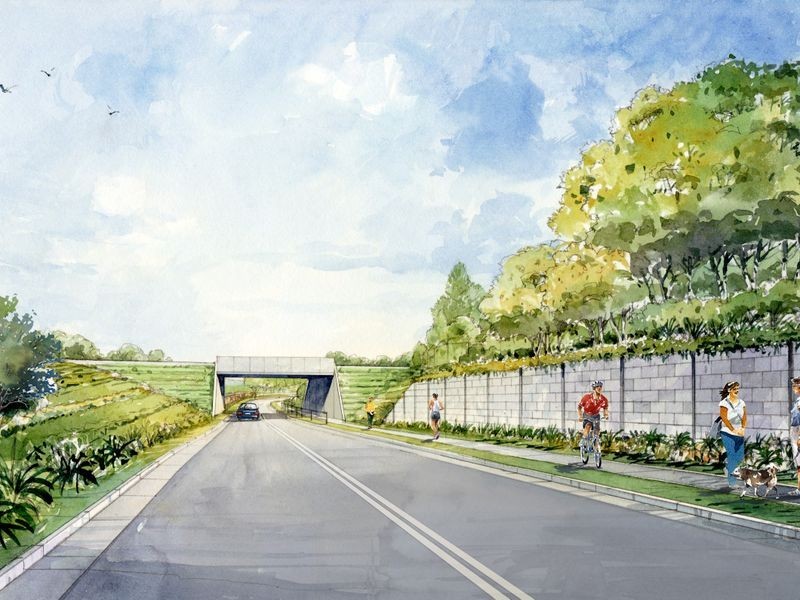 Lot 135 Settlers Rise, Singleton NSW 2330