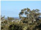 122 Hambledon Hill Road, Singleton NSW 2330