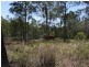 103 Guara Grove, Pimpama QLD 4209
