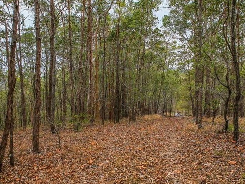 89 Baileys Mountain Road, Willow Vale QLD 4209