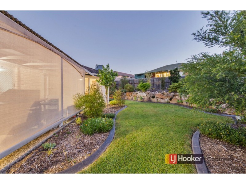 10 Glenshee Street, Upper Coomera QLD 4209