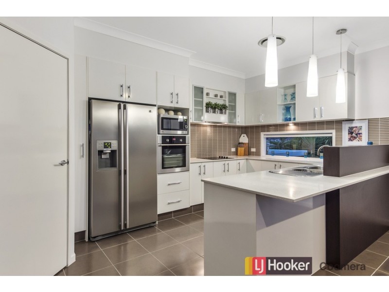 15 Chinaberry Crescent, Upper Coomera QLD 4209