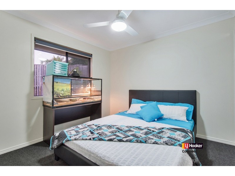 59 Macleay Circuit, Upper Coomera QLD 4209