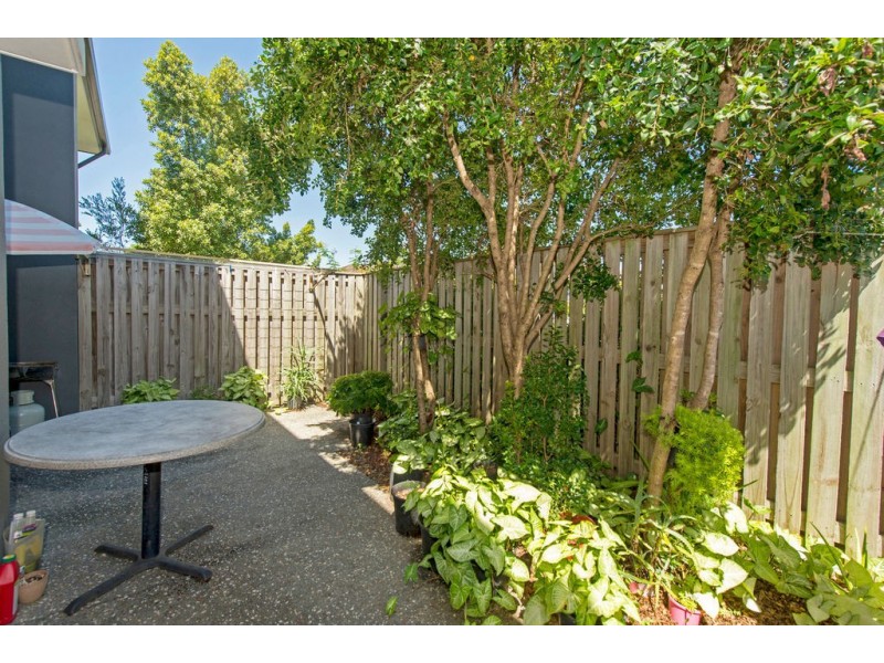 31/2 Jefferson Court, Upper Coomera QLD 4209